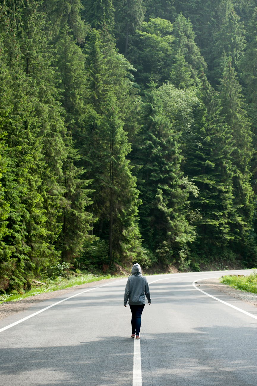 person walking on road near trees