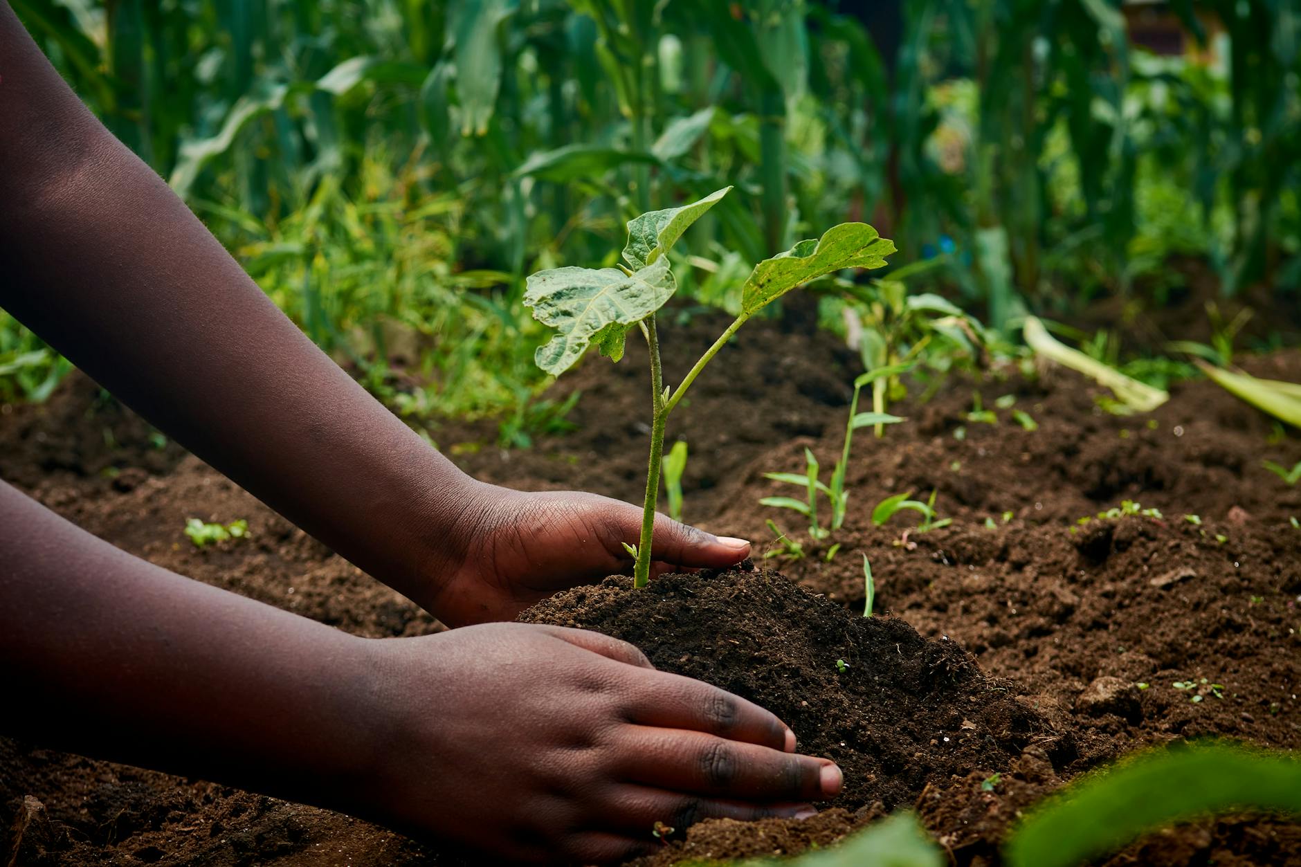 Fertility Journeys and Mental Health: Caring for Yourself Through Uncertainty